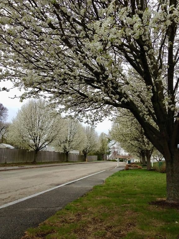 Thumbnail 29