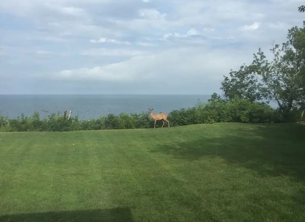 Thumbnail 38