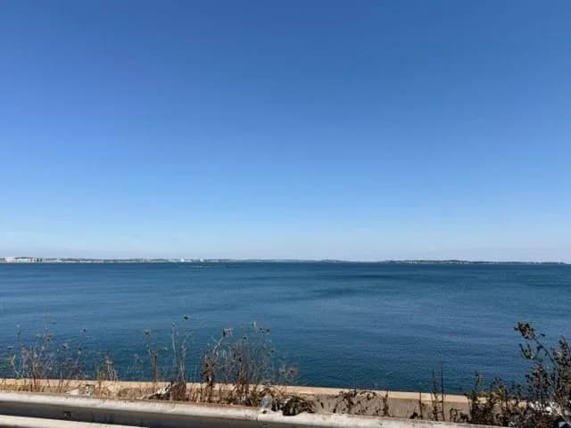 Thumbnail 37